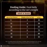 Sheba Irresistible Chicken Kitten and Adult Dry Cat Food - Zigly