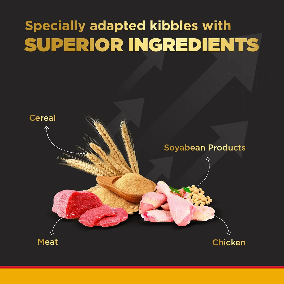 Pedigree PRO Mother & Pup Starter Small Breed, Dry Dog Food, Expert Nutrition for Pregnant/Lactating Mothers & Pups (3-12 Weeks) - 3kg - Zigly