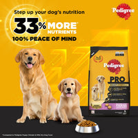 Pedigree PRO Expert Nutrition Dry Dog Food - Large Breed Starter for Lactating/Pregnant Mothers & Pups (3-12 Weeks) - 3kg - Zigly