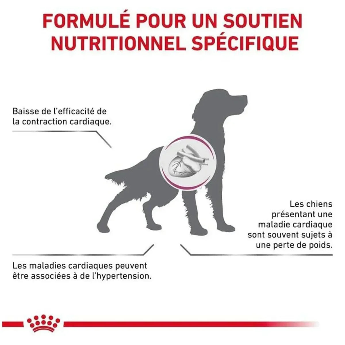 Royal Canin Veterinary Diet Cardiac Dry Dog Food - 2kg - Zigly