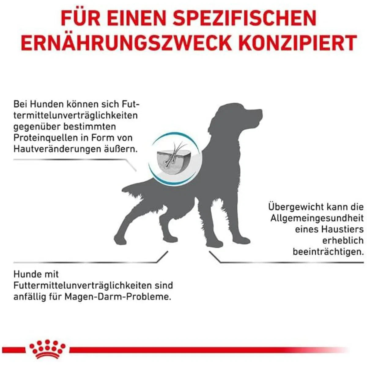 Royal Canin Veterinary Diet Hypoallergenic Moderate Calorie Dry Dog Food - 1.5kg - Zigly