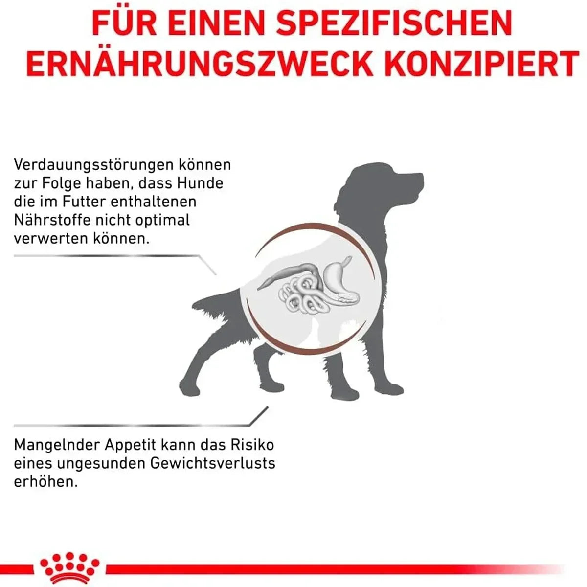 Royal Canin Gastrointestinal Dry Dog Food - All Breed Adult - 2kg - Zigly