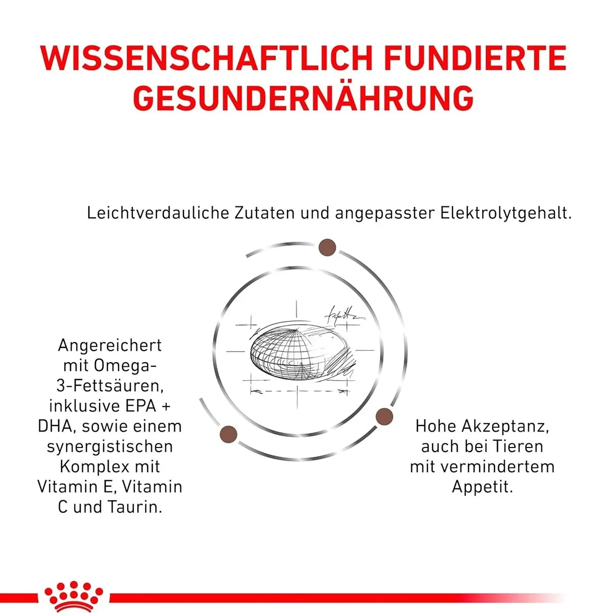 Royal Canin Gastrointestinal Dry Dog Food - All Breed Adult - 2kg - Zigly