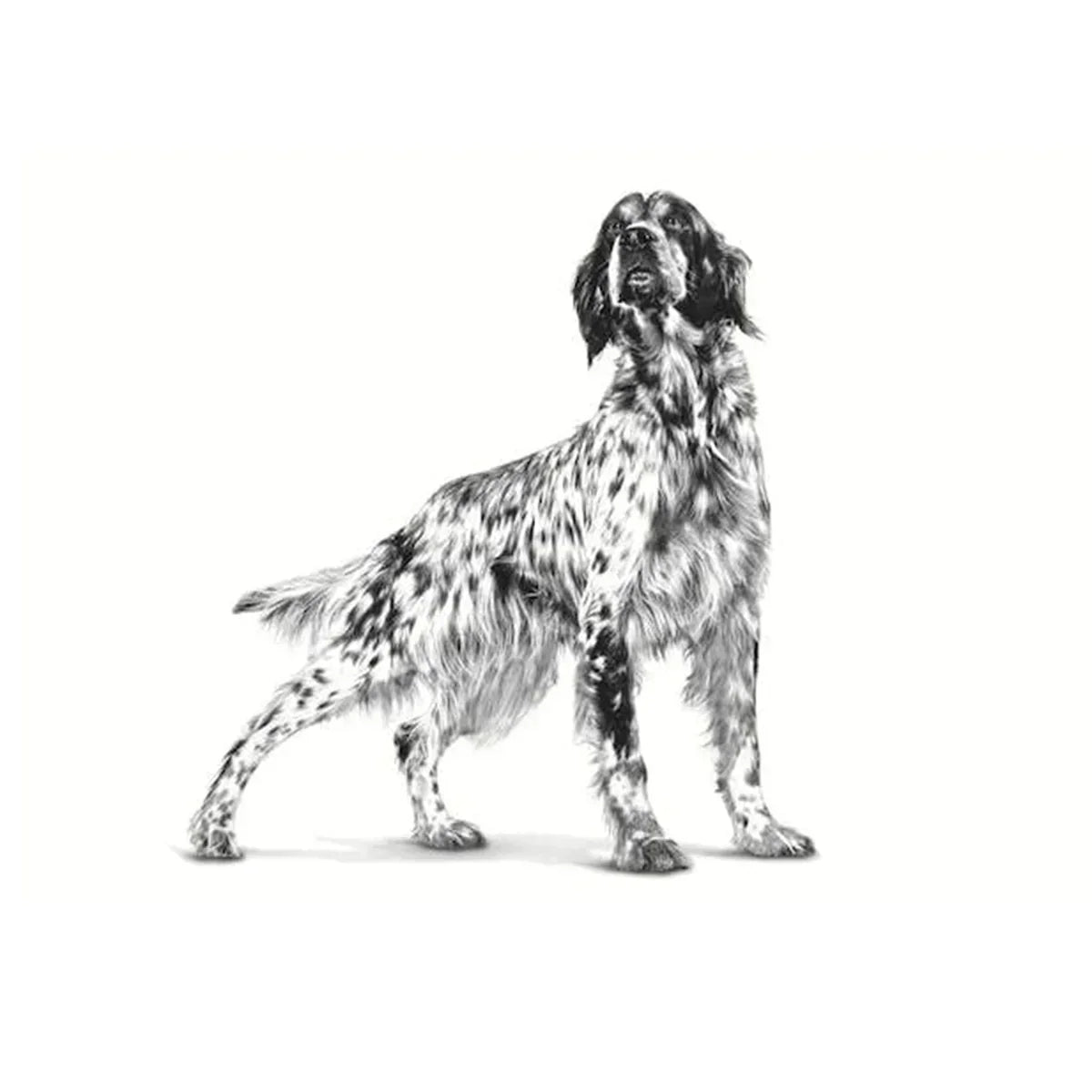 Royal Canin Gastrointestinal Low Fat Veterinary Dry Dog Food - All Breed Adult - 1.5kg - Zigly