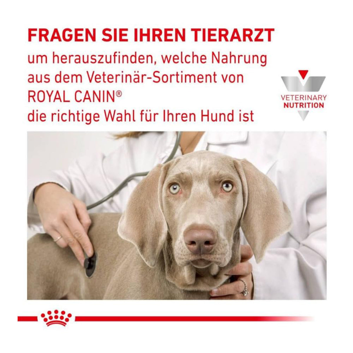 Royal Canin Veterinary Diet Urinary Dry Dog Food - 2kg - Zigly