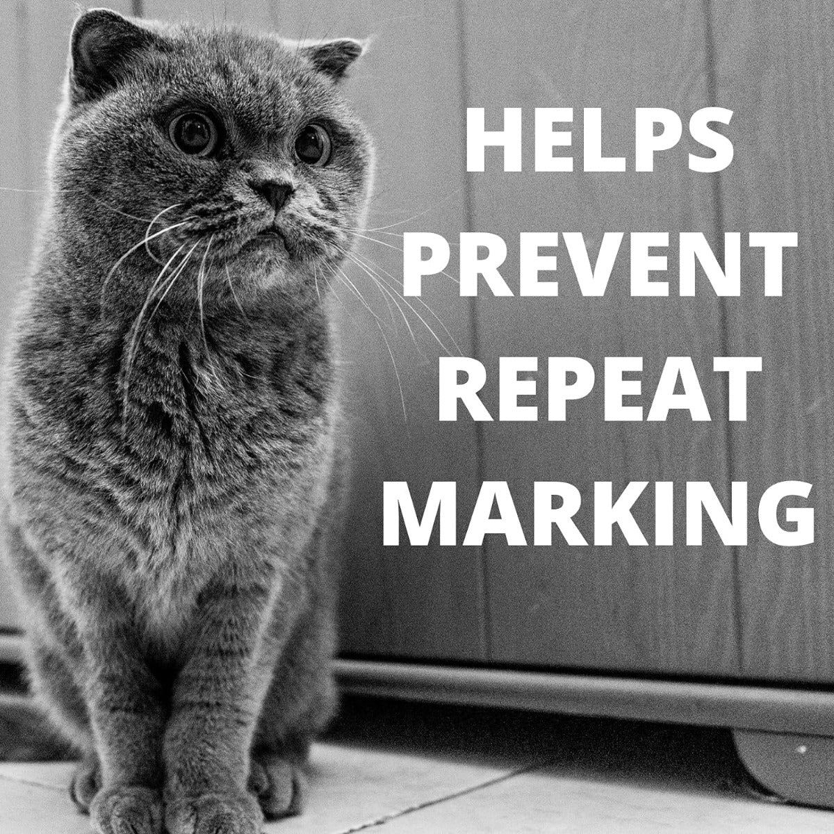 Simple Solutions Cat Stain and Odor Remover - 500ml - Zigly