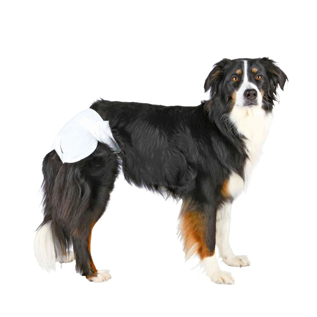 Trixie Diapers For Female Dogs - Zigly