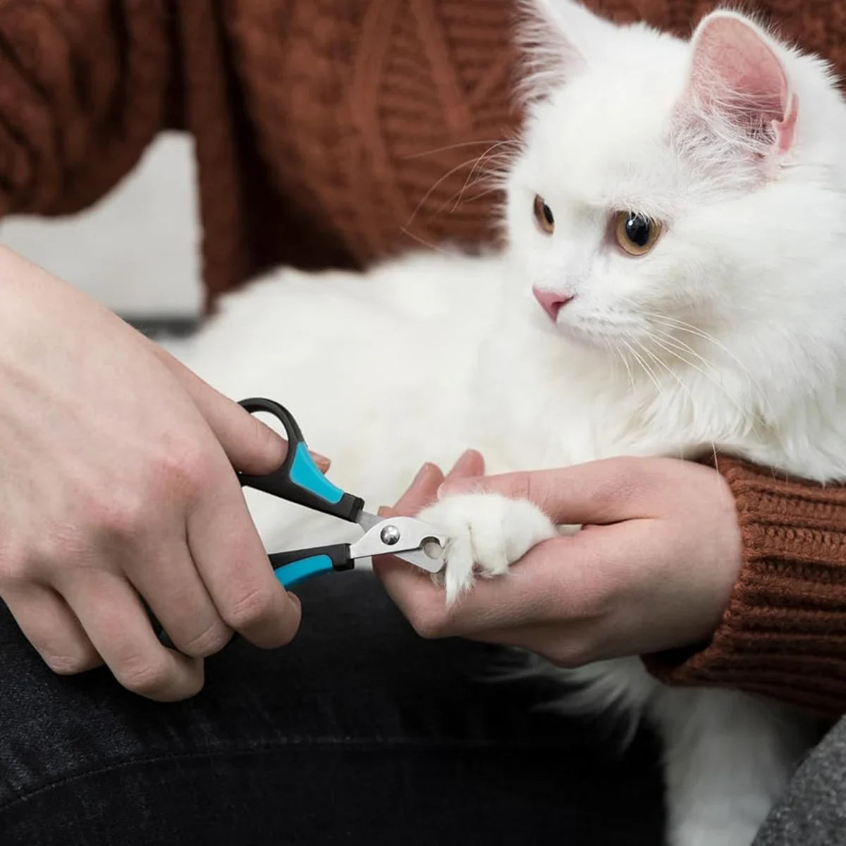 Trixie Claw Scissors for Pets - 8 cm - Zigly