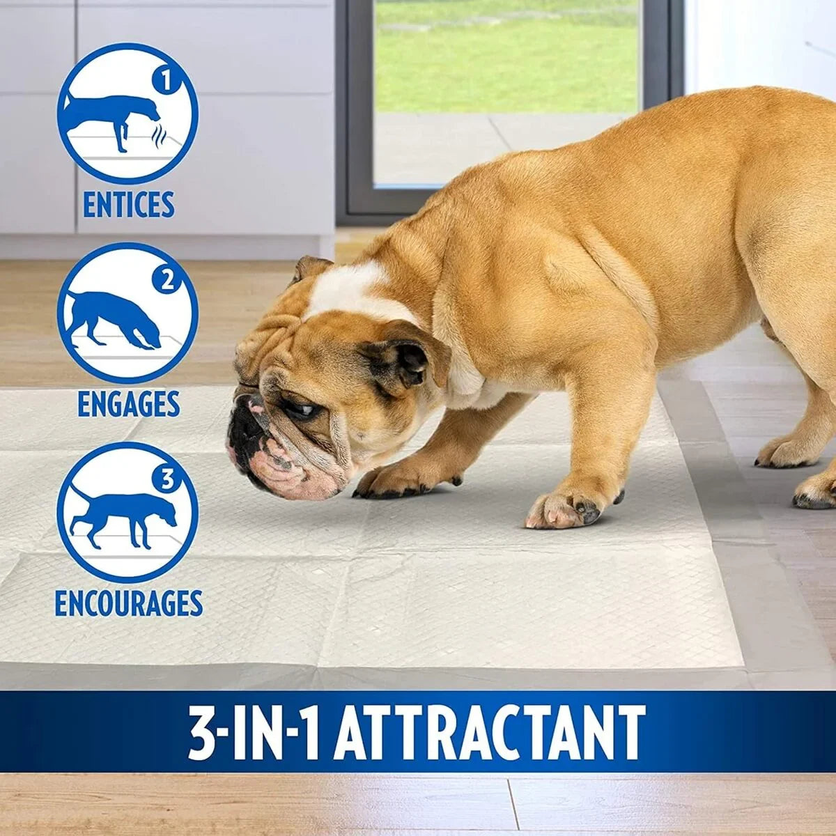 Out Pet Care Moisture Lock Training Pads for Dogs - 30 Pads - 51x56cm - Zigly