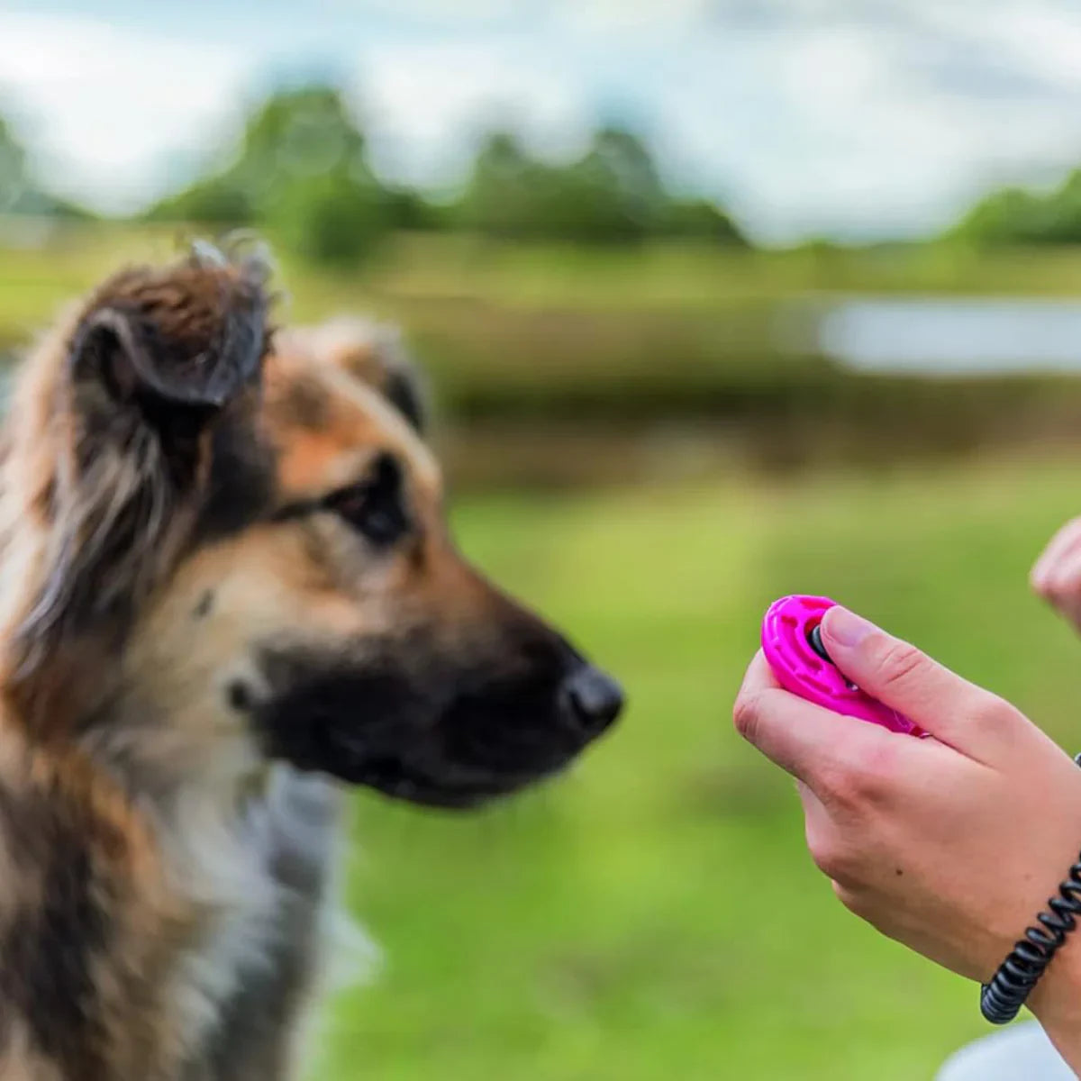 Trixie Clicker With Spiral Wrist Loop For Dog Training - 6cm - Zigly