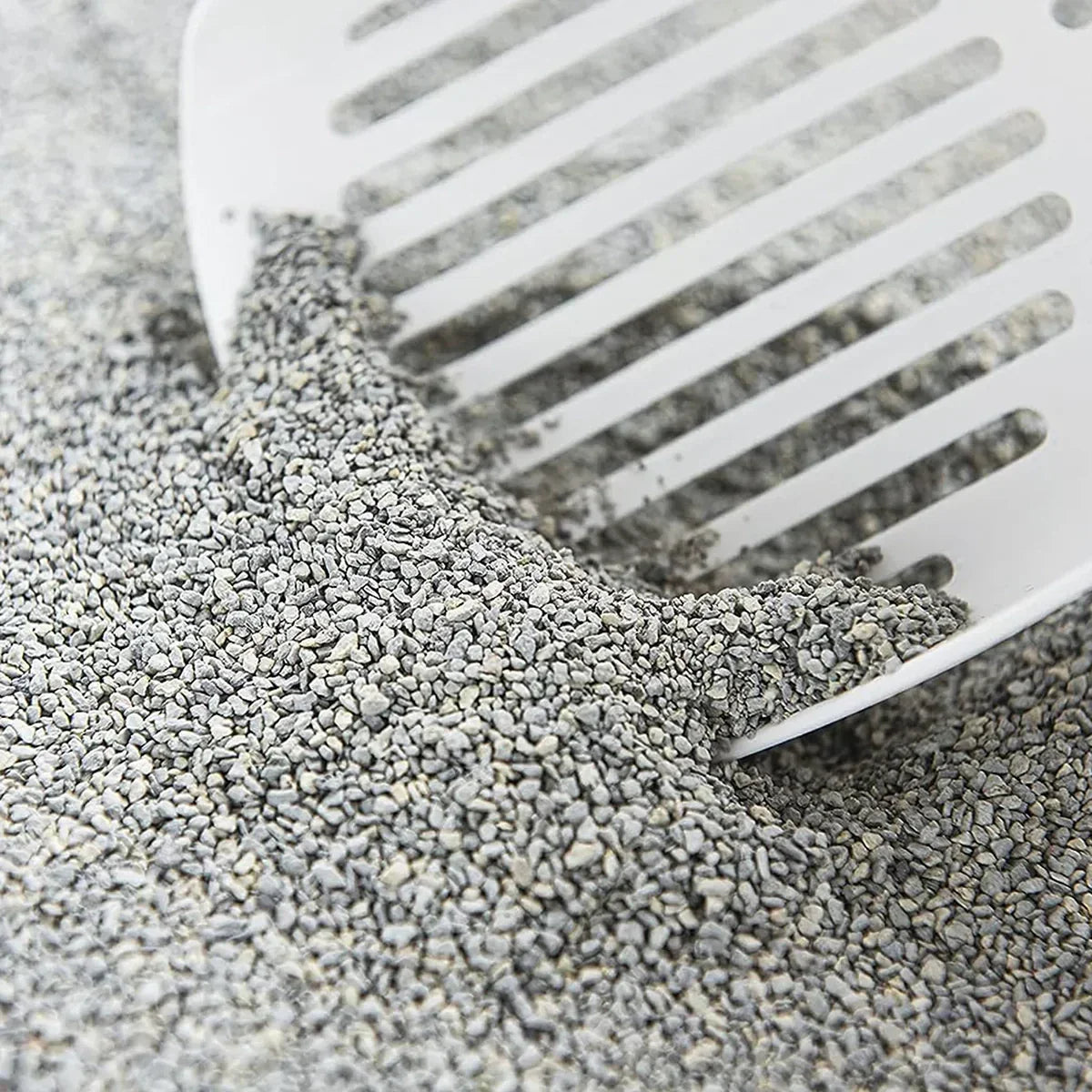 Intersand Odourlock Baby Powder Cat Litter - 12 Kg - Zigly