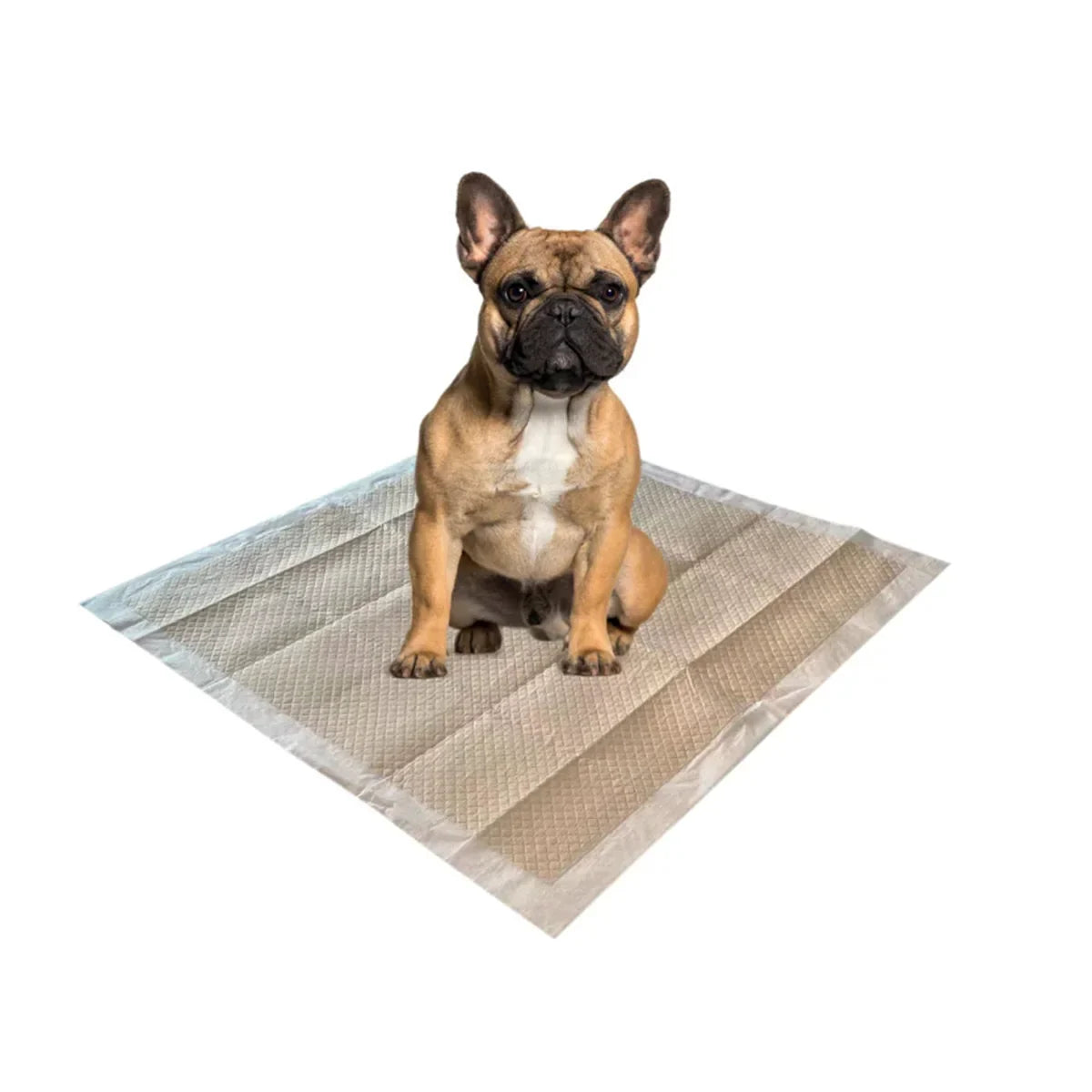 M-Pets Eco Training Pads 60X60 - 50Pcs - Zigly
