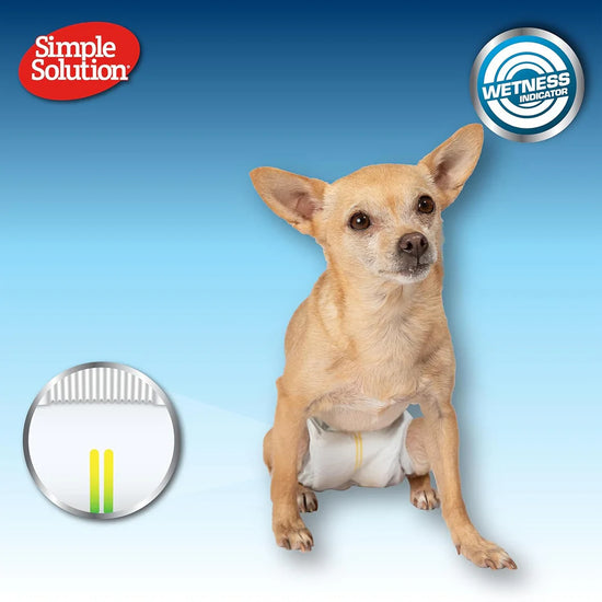 Simple Solution Disposable Diapers - 12 Diapers - Zigly