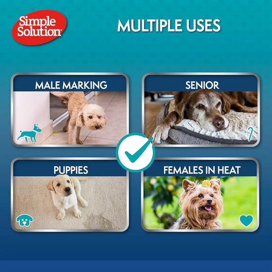 Simple Solution Disposable Diapers - 12 Diapers - Zigly