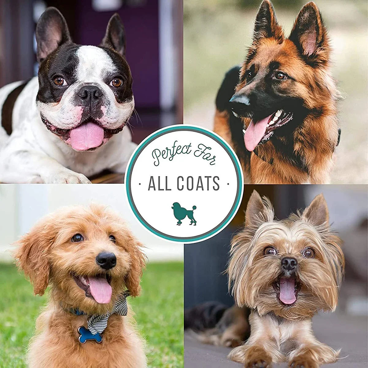 Bio-Groom Facial Foam Cleanser for Dogs - 236ml - Zigly