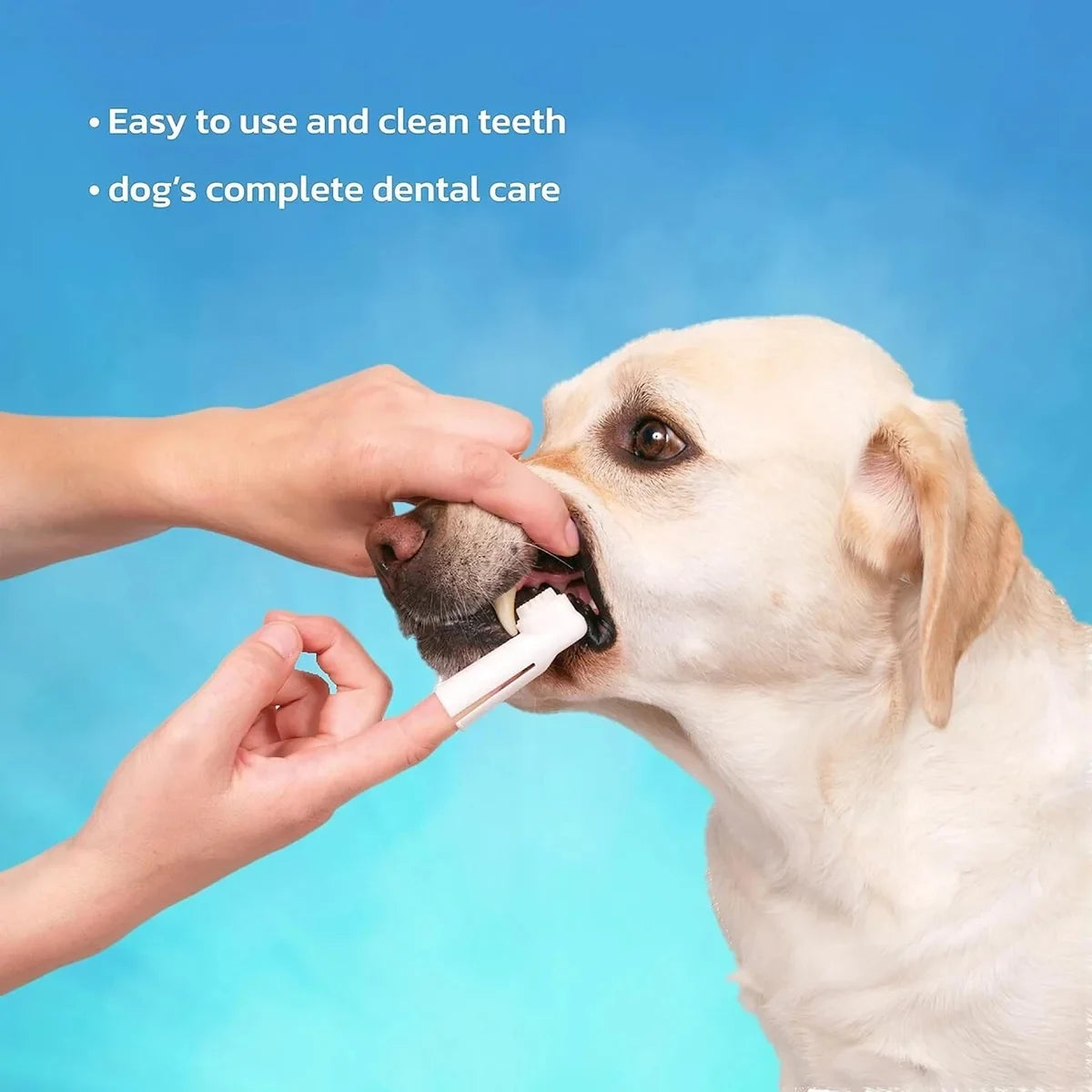Trixie Dog Dental Hygiene Kit - Zigly