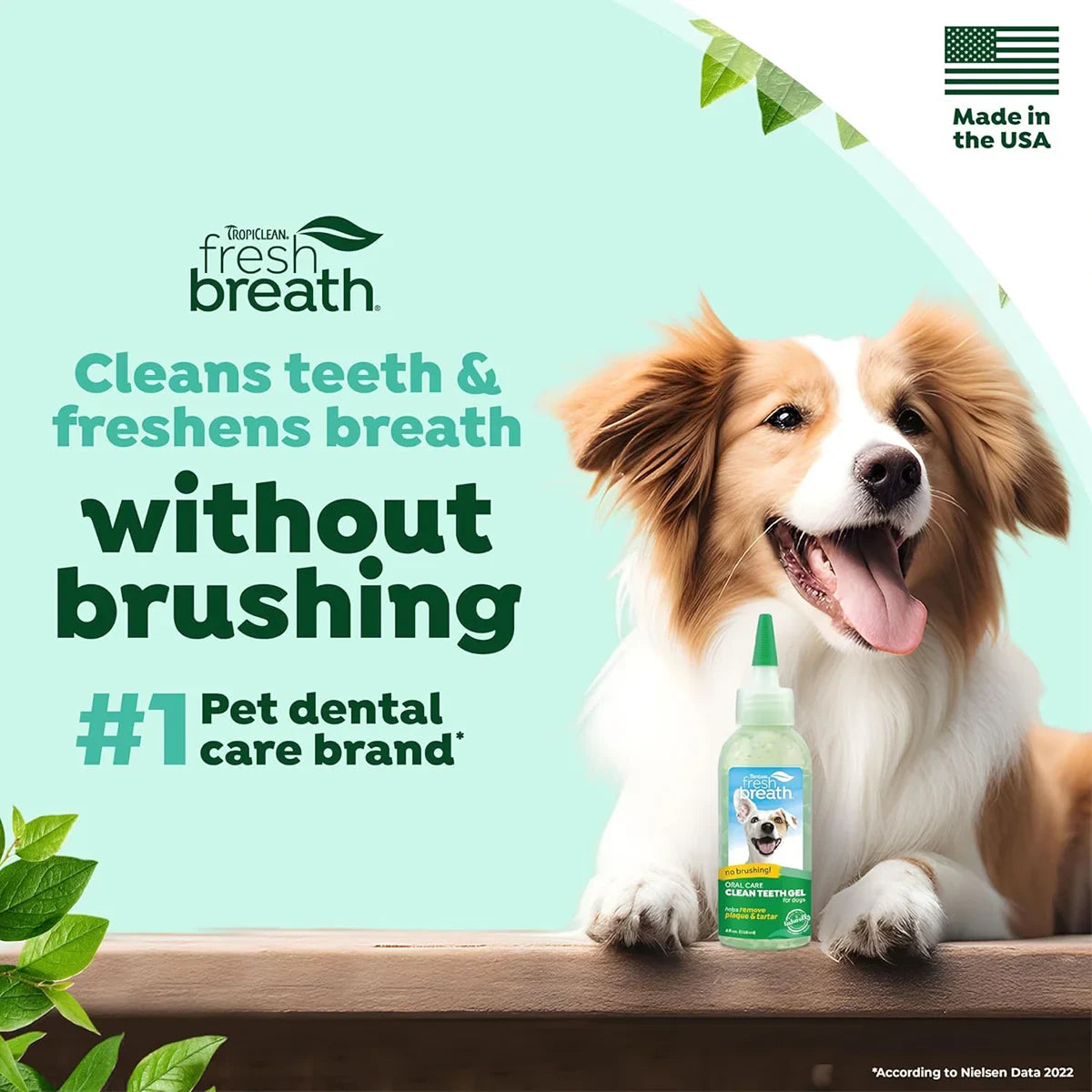 Tropiclean Fresh Breath Clean Teeth Brushing Gel For Dog - 59ml - Zigly