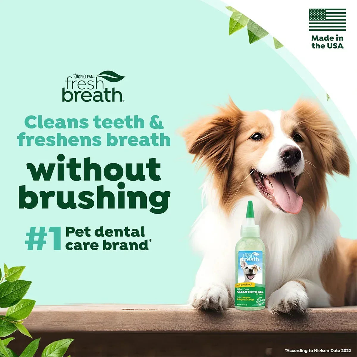 Tropiclean Fresh Breath Clean Teeth Brushing Gel For Dog - 59ml - Zigly