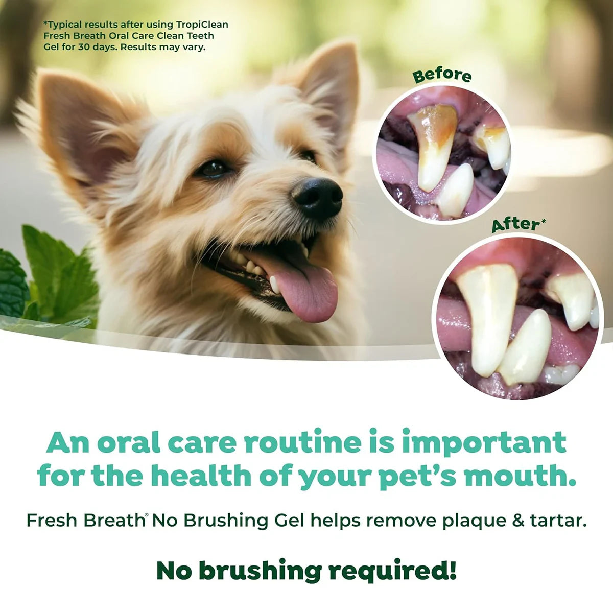 Tropiclean Fresh Breath Clean Teeth Brushing Gel For Dog - 59ml - Zigly