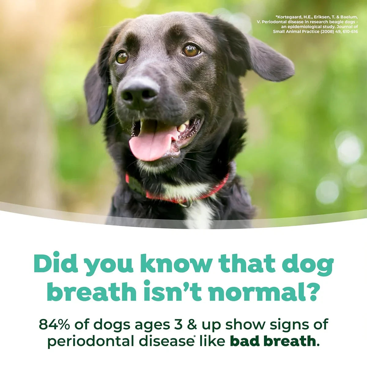 Tropiclean Fresh Breath Water Additive For Dog - 473ml - Zigly