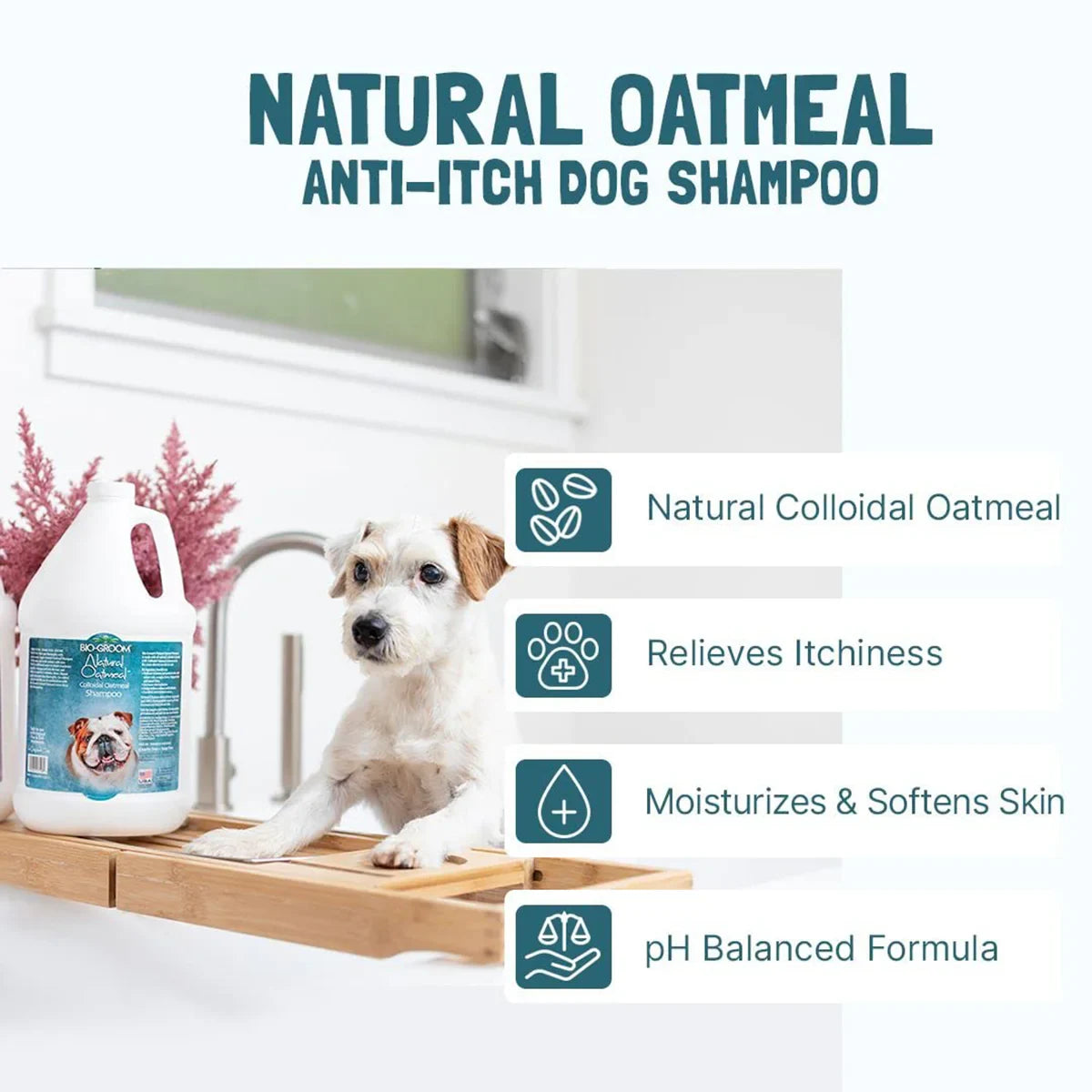 Bio-Groom Natural Oatmeal Soothing Dog Shampoo - 355ml - Zigly