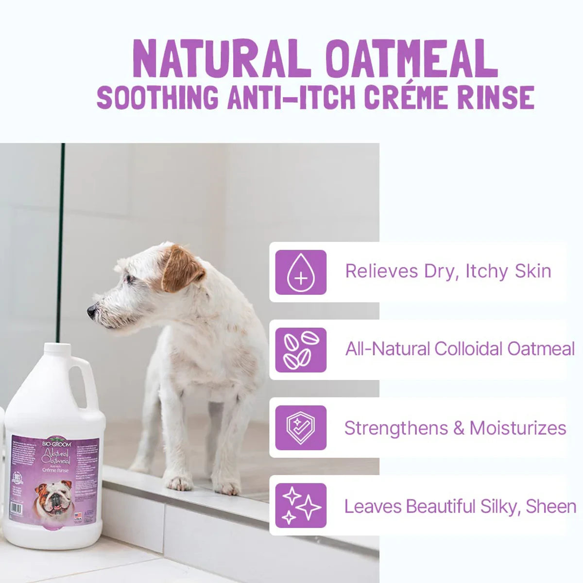 Bio-Groom Natural Oatmeal Anti-Itch Creme Rinse Dog Conditioner - 355ml - Zigly