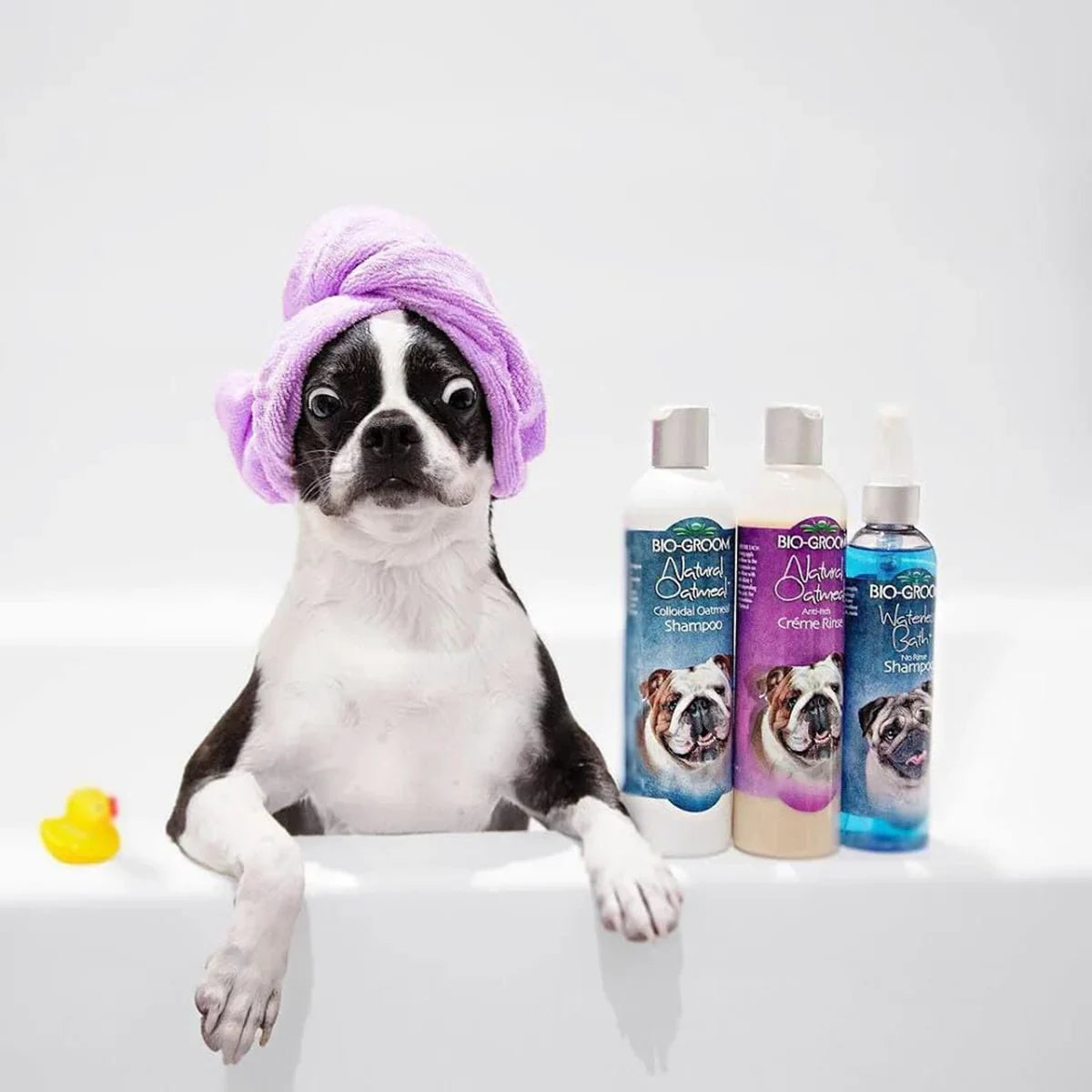 Bio-Groom Natural Oatmeal Anti-Itch Creme Rinse Dog Conditioner - 355ml - Zigly