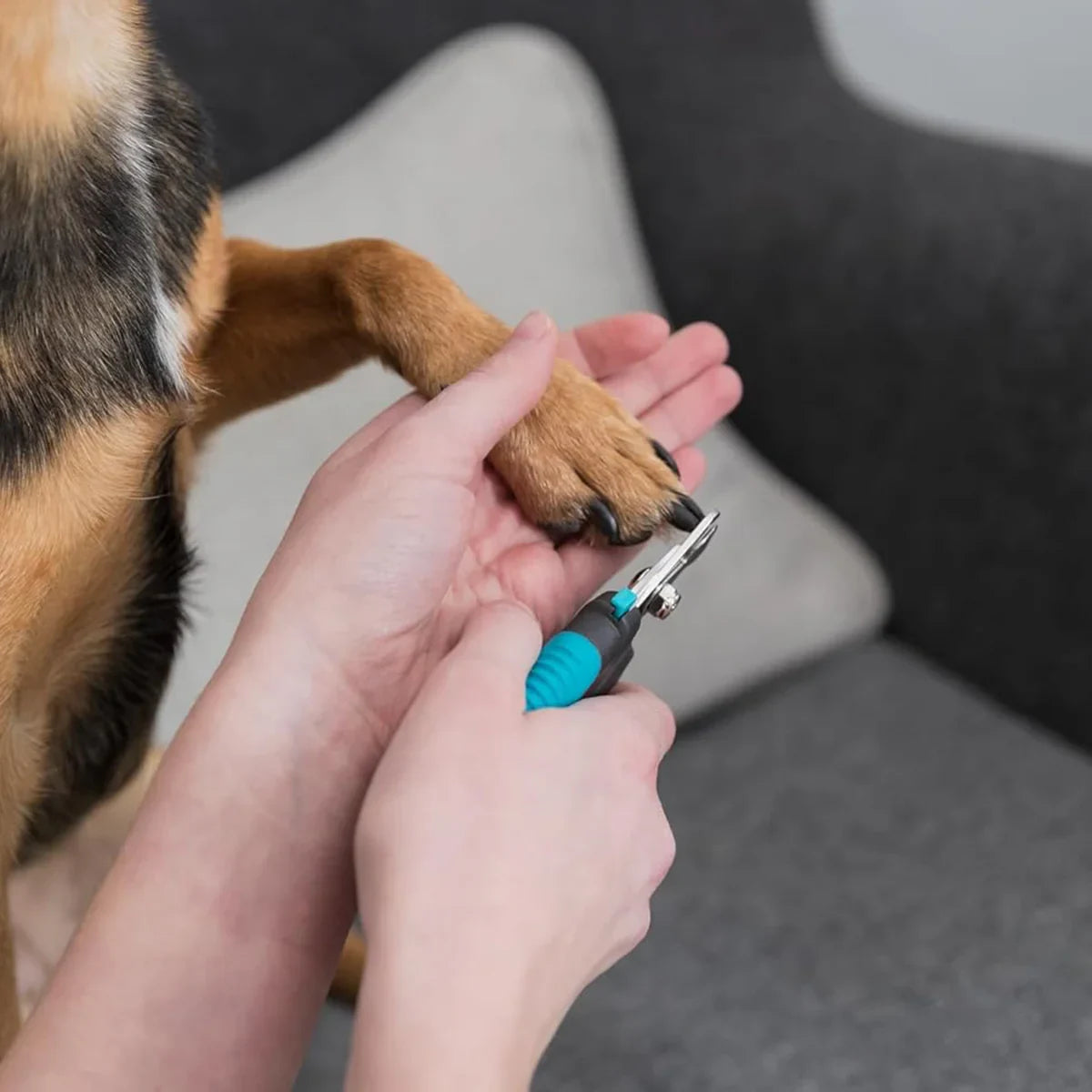 Trixie Dog & Cat Nail Clipper - 16cm - Zigly