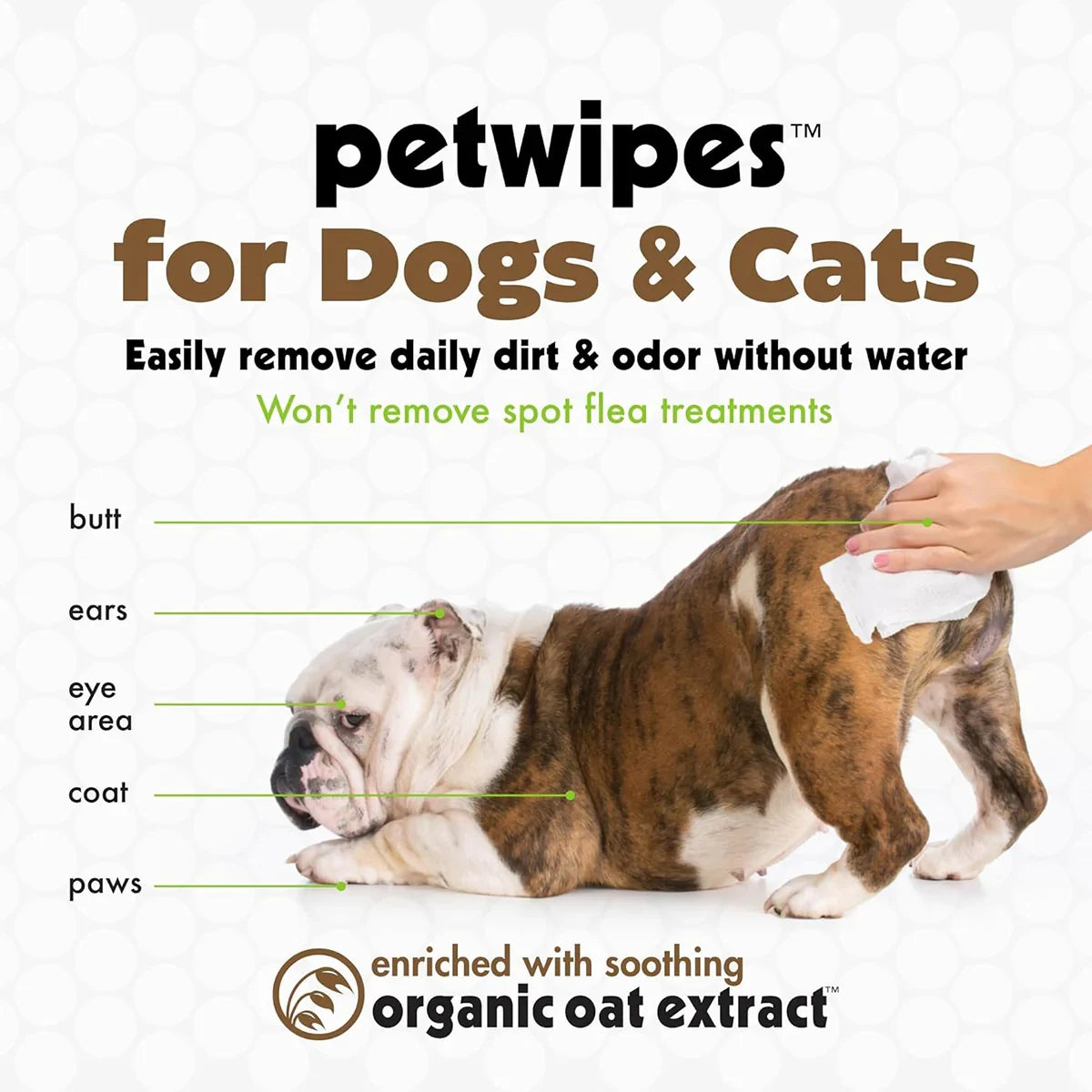 Petkin Oatmeal Mega Valu-Pak Pet Wipes - 125 Wipes - Zigly