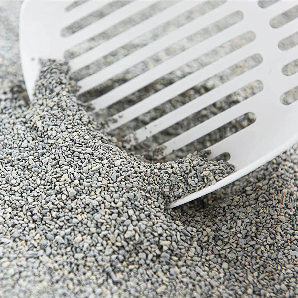 Intersand Cat Exclusive Scoopable Cat Litter - 10 kg - Zigly