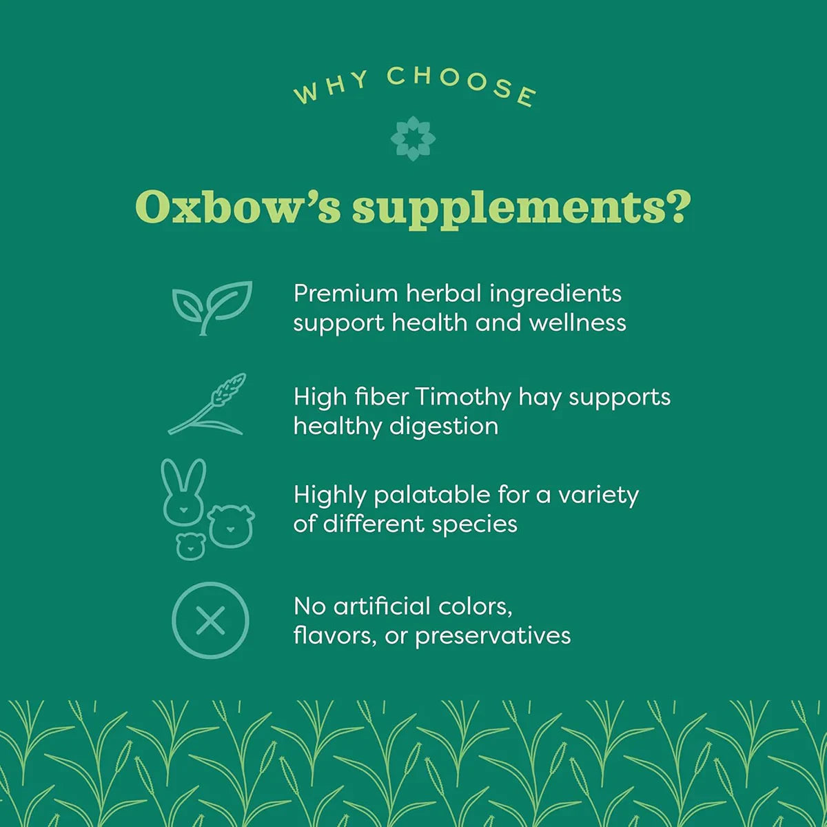 Oxbow Natural Science Digestive Support - 120g - Zigly