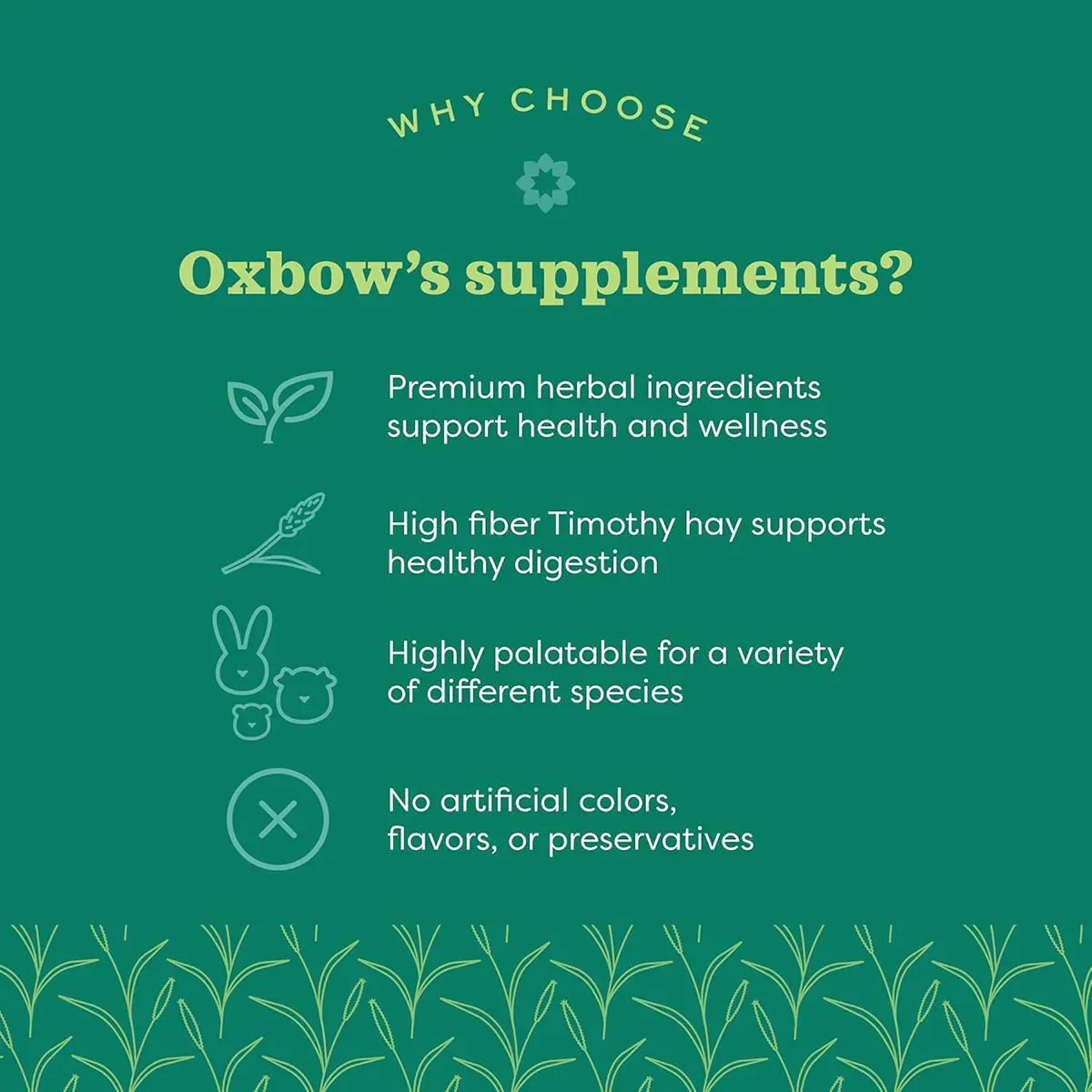 Oxbow Natural Science Digestive Support - 120g - Zigly