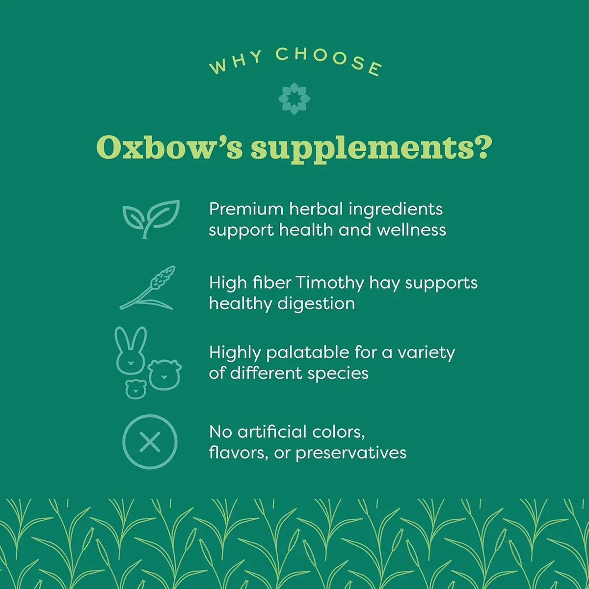 Oxbow Natural Science Digestive Support - 120g - Zigly