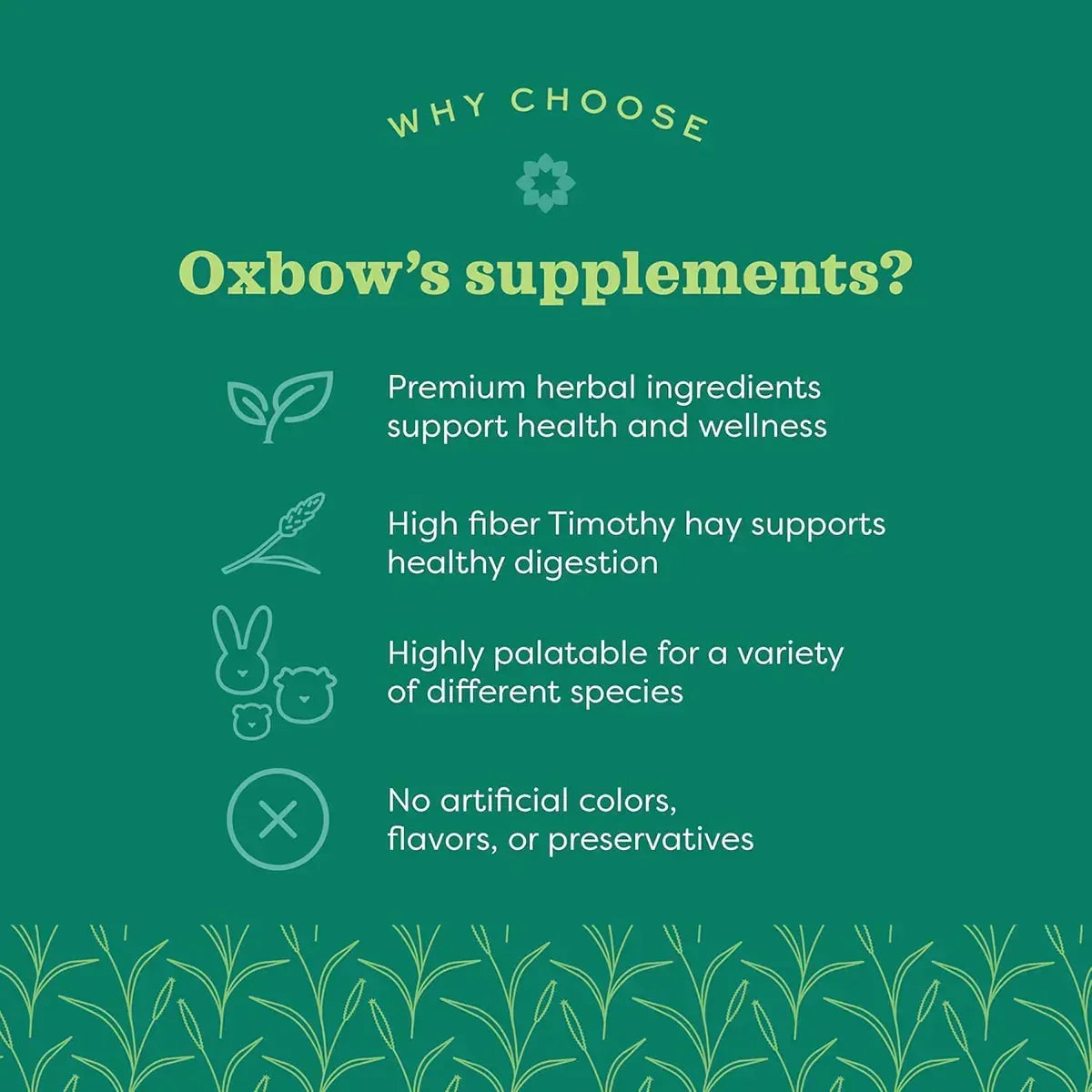 Oxbow Natural Science Digestive Support - 120g - Zigly