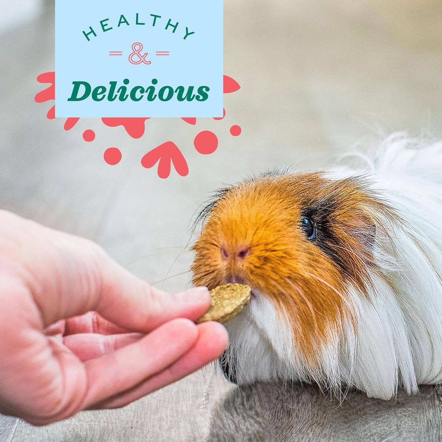 Oxbow Natural Science Digestive Support - 120g - Zigly