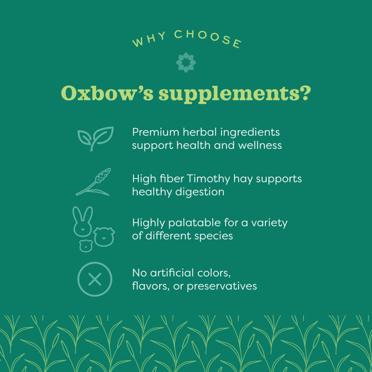 Oxbow Natural Science Joint Support - 120g - Zigly