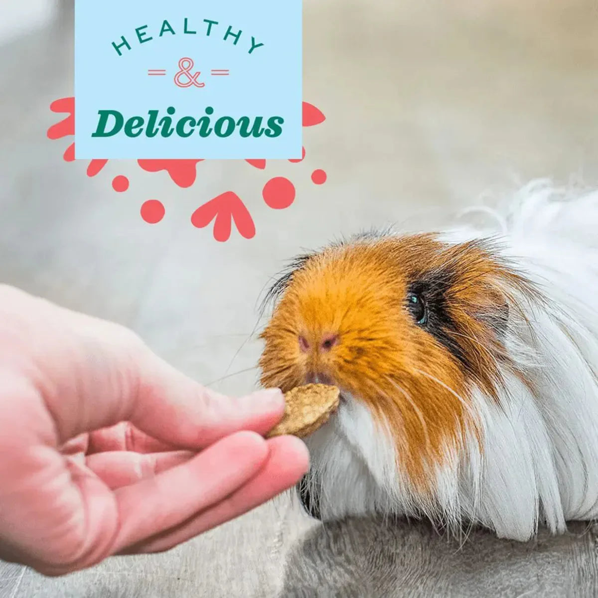 Oxbow Natural Science Skin & Coat Support - 120g - Zigly