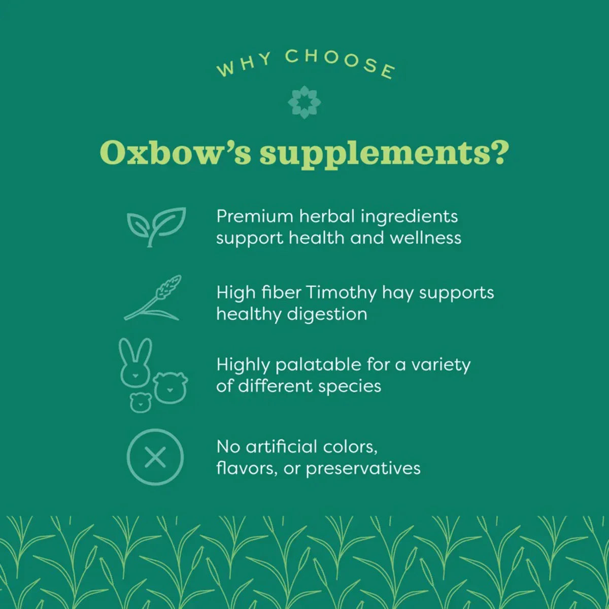 Oxbow Natural Science Skin & Coat Support - 120g - Zigly