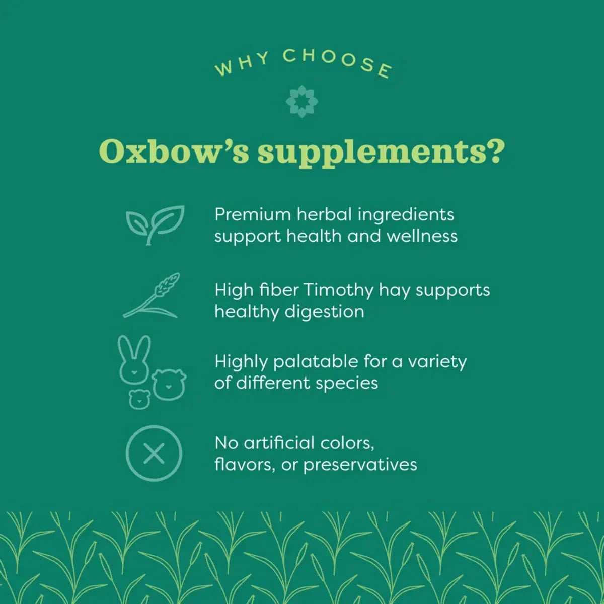 Oxbow Natural Science Skin & Coat Support - 120g - Zigly