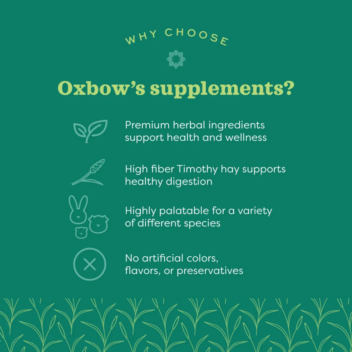 Oxbow Natural Science Urinary Support - 120g - Zigly