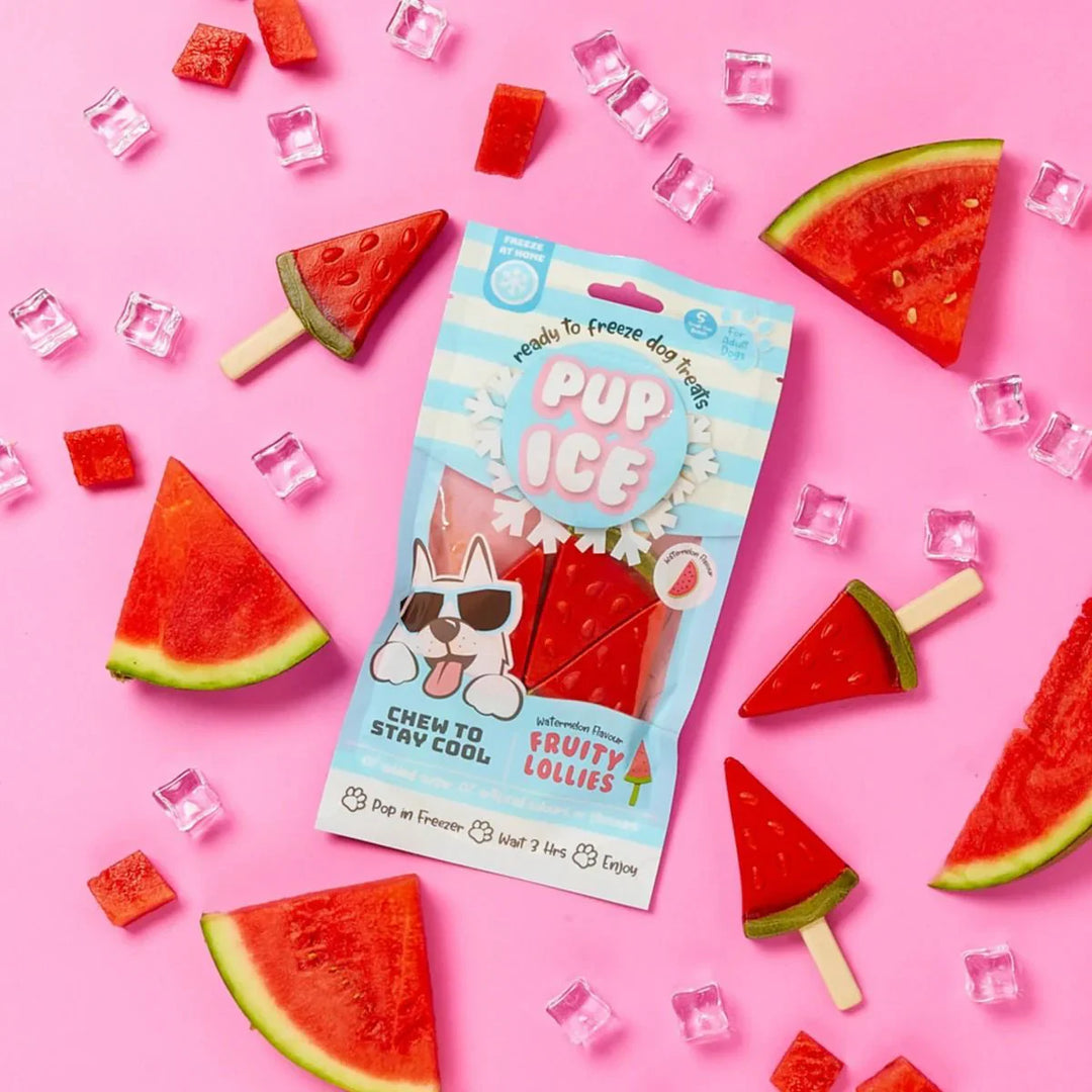 Imaginelles Pup Ice Fruity Lollies Watermelon Dog Treat - 3 Pieces - 90g - Zigly