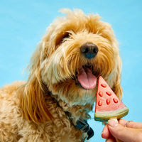 Imaginelles Pup Ice Fruity Lollies Watermelon Dog Treat - 3 Pieces - 90g - Zigly