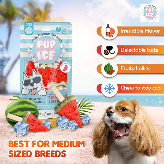 Imaginelles Pup Ice Fruity Lollies Watermelon Dog Treat - 3 Pieces - 90g - Zigly