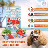 Imaginelles Pup Ice Fruity Lollies Watermelon Dog Treat - 3 Pieces - 90g - Zigly