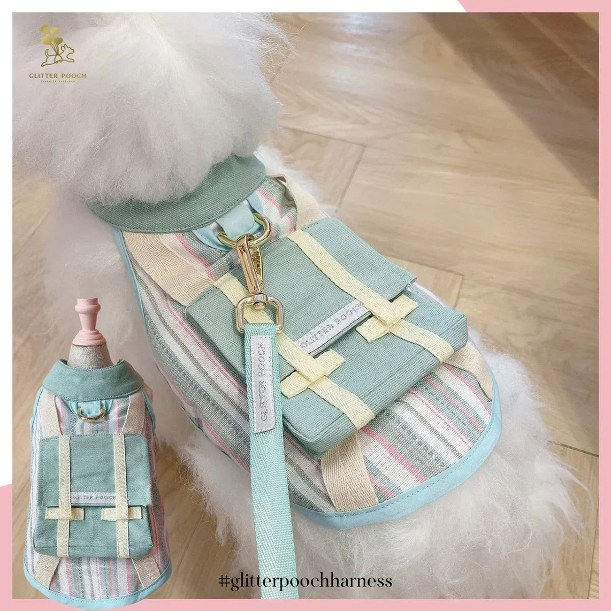 Glitter Pooch Vacay Ready Boy for Dogs - Green - Zigly