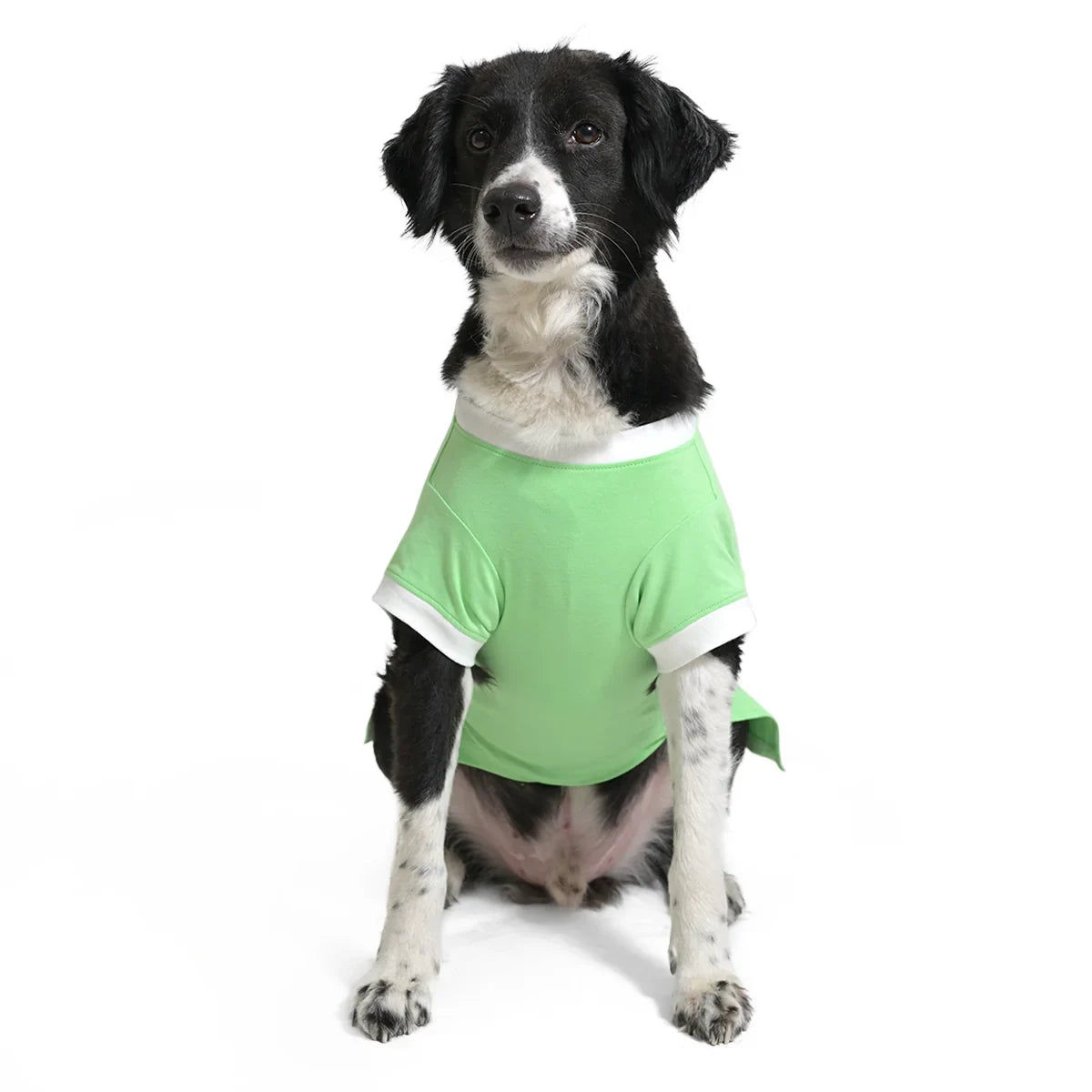The Happy Lots I Woof You Sequin Dog T-Shirt Green - Zigly