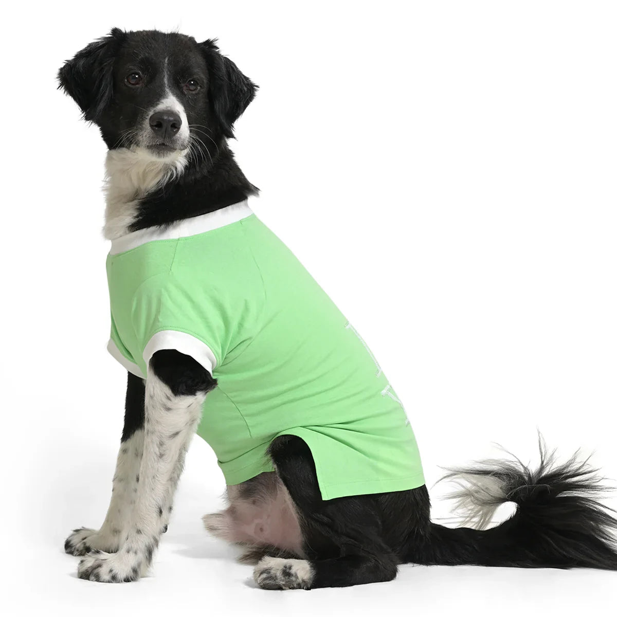 The Happy Lots I Woof You Sequin Dog T-Shirt Green - Zigly