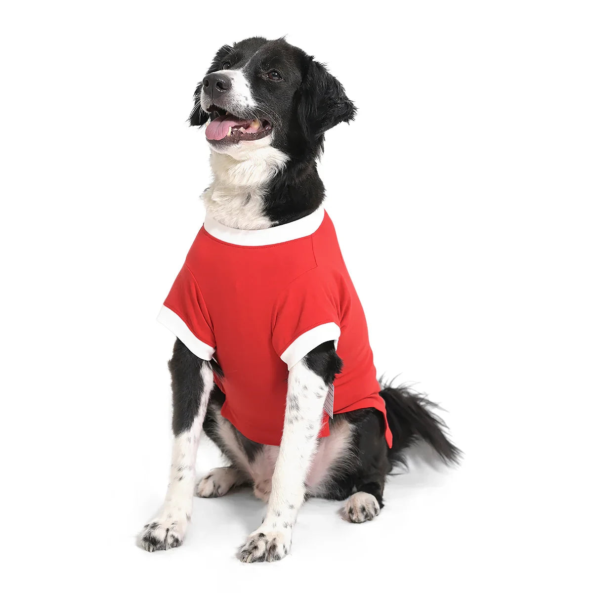 The Happy Lots Teddy Sparkle Sequin Dog T-Shirt-Red - Zigly