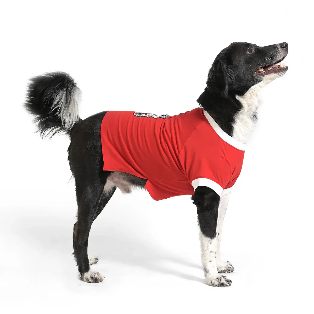 The Happy Lots Teddy Sparkle Sequin Dog T-Shirt-Red - Zigly