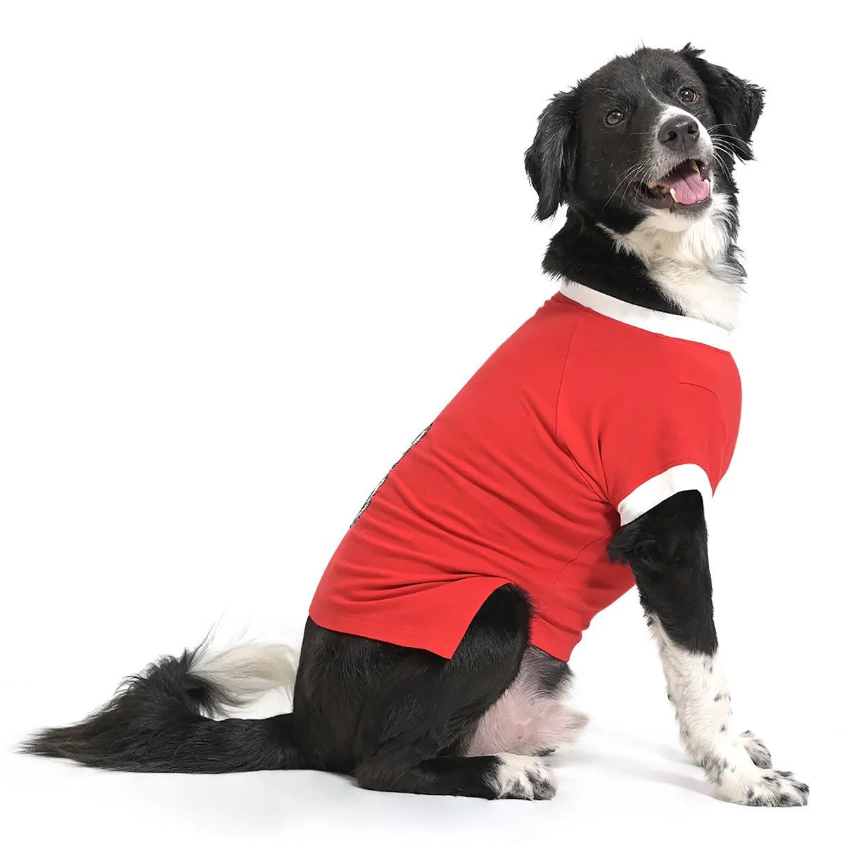 The Happy Lots Teddy Sparkle Sequin Dog T-Shirt-Red - Zigly